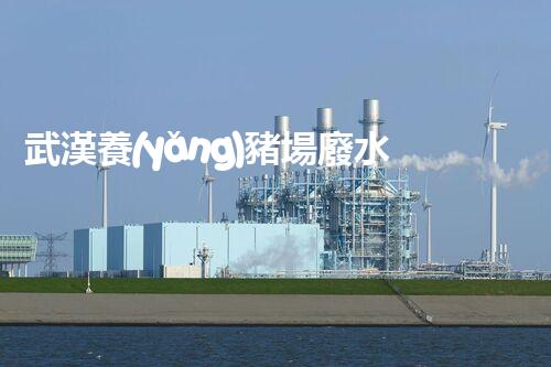 武漢養(yǎng)豬場廢水處理的以后：揭秘綠色養(yǎng)殖的奧秘？